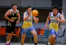 Titans take care of Cobras