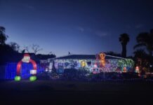 Festive cheer to light city