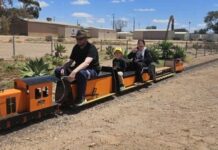 Model trains draw crowd