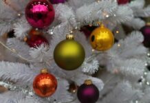 Discover what’s on around the Spencer Gulf