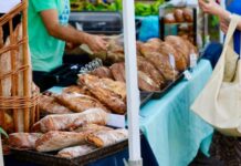 Discover what’s on in the Spencer Gulf