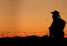 Support farmers this Christmas