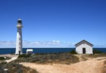 Vouchers directly boost visitation