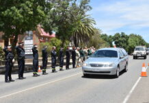 In honour of Peter Curtis