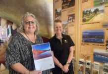 Visitor growth strategy