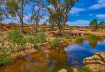 Tourism operators connect