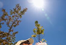 Heatwave risks on rise