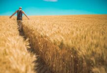 Index guides safe harvesting