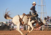 Plenty of action at Carrieton