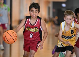 Basketball season to resume soon