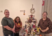 Festival winners announced