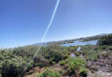 Cleaning, caring for coast