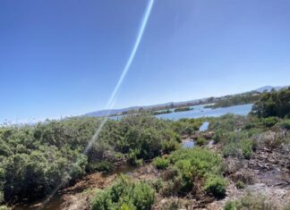 Cleaning, caring for coast