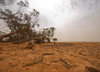 Assistance for drought-affected businesses