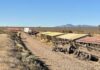 Train derailment near Pirie