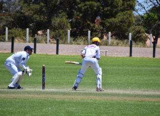 PACA mid season review