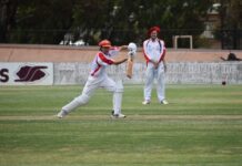 Cricket back for new year