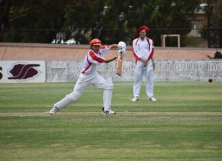 Cricket back for new year