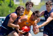 Augusta hosts Crows trial