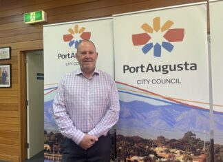 Far North growth strains