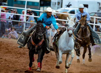 Rodeo action