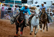 Rodeo action