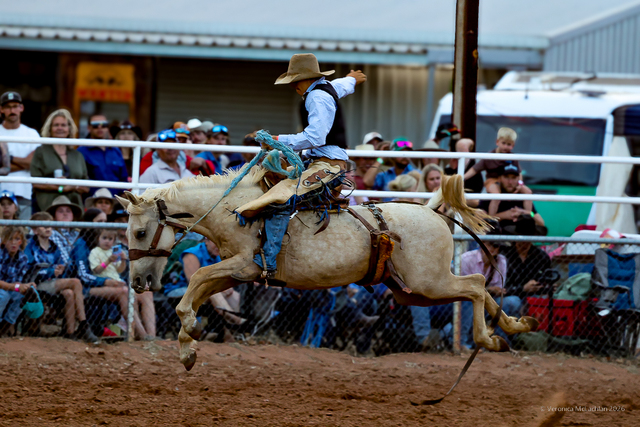 Rodeo action