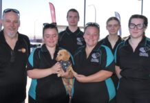 Tiny tradies’ crafty ideas