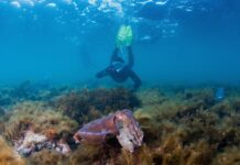 Stony Point makes top 100