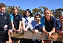 Students working through new forest project