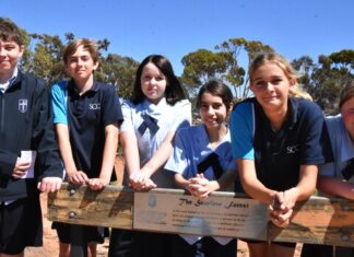 Students working through new forest project
