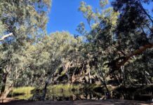 Funds for environment