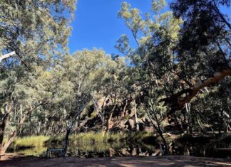 Funds for environment