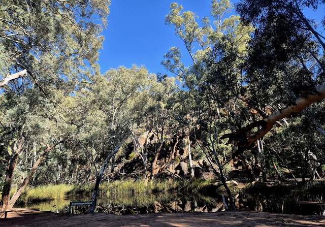 Funds for environment