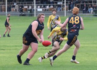 Eagles host preseason spectacle