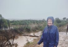 Rain deluge causes havoc