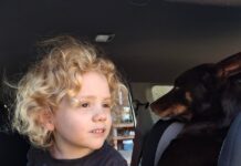 Gus Lamont parents appeal for info