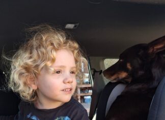 Gus Lamont parents appeal for info