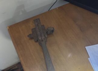 Kitten injured in illegal steel trap