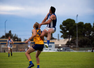 Port start season strong