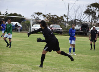 Steel dominant in 5-1 win