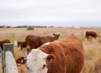 Join sustainable farm plan