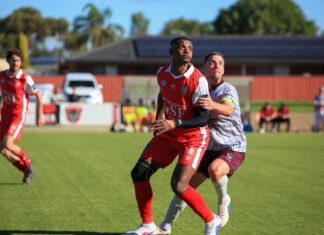 Demons held to late draw