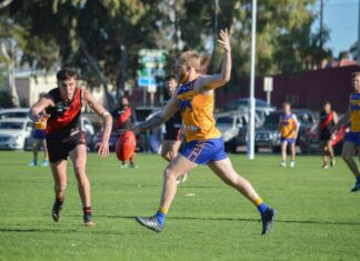 Lions to roar into action