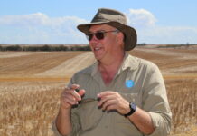 Growers warned on mice