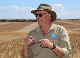 Growers warned on mice